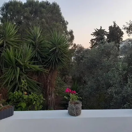 Karin Bodrum